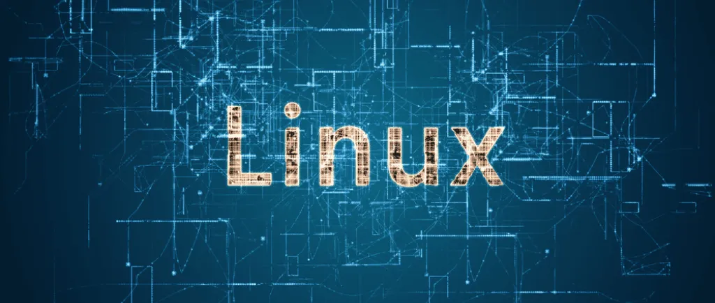 year of linux